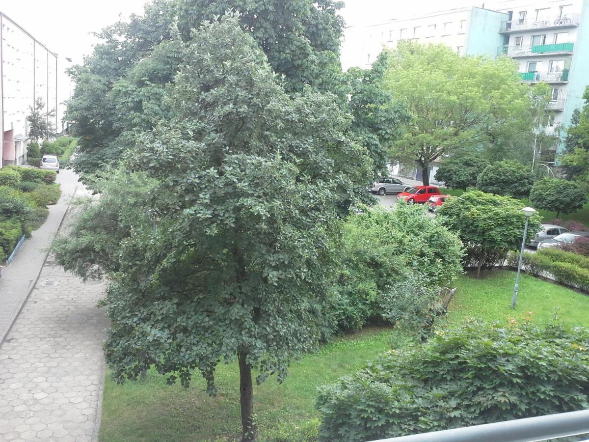 3030 Jana Spychalskiego 32 - Tanie Pokoje W Apartamencie - Samodzielne Zameldowanie - Self Check In Πόζναν Εξωτερικό φωτογραφία